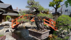 Explore Japan’s capital city of Tokyo with Alastair Miller