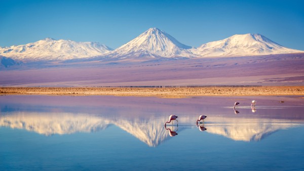 Enjoy the acclaimed documentary film, Searching for Light, An Astronomer's Guide, by Gary Fildes
