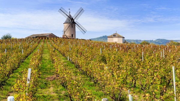 Travel to the heart of Beaujolais with Jean Newman-Glock