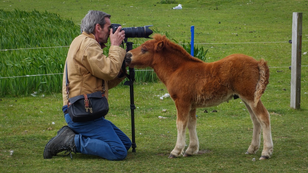 Alastair Miller: Part 1)